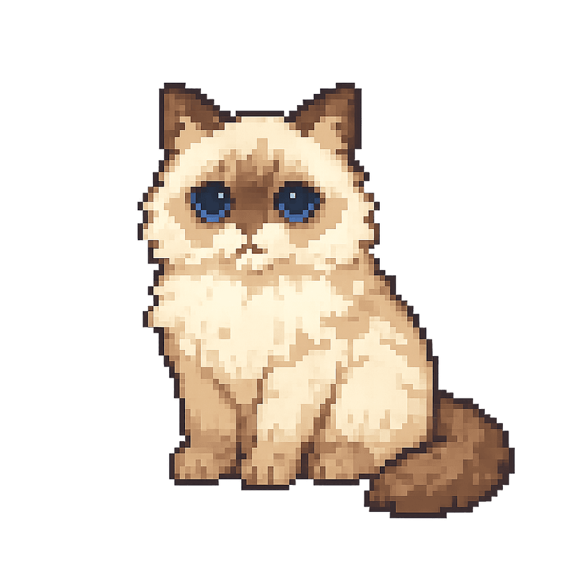 Mochi the ragdoll cat desktop pet character